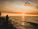 Dobyns Rods Sierra Ultra Finesse Casting / 6'9" / 1 PC / 2-8 LB LINE Weight / 1/16-5/16 OZ Lure Weight/Light Fast ACT/Cork-Split Handle