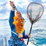 SEASPRO Red Telescoping Rubber Fishing Net Aluminum Alloy Fish Net - Adjustable Length Lightweight Foldable Large Fishing Net with Handle Collapsible Extendable Fishing Accessories