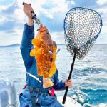 SEASPRO Telescoping Metal Lock Fishing Net Blue Aluminum Alloy Rubber Fish Net - Adjustable Length Lightweight Foldable Large Fishing Net with Handle Collapsible Extendable Fishing Accessories