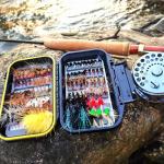 Fly Fishing Flies Assortment Kit Dry Wet Nyphms Tenkara Popper Streamer Woolly Bugger for Trout Bass Salmon Steelhead with Fly Box (100PCS Fishing Flies Kit)