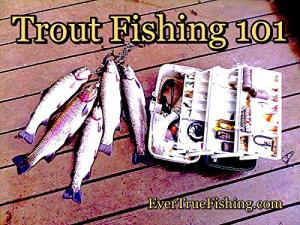 Trout Fishing 101