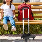 Backpack Trolley Aluminum Alloy 2 Wheels Portable Telescopic Rod Travel Trolley