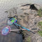 Fishing Net 2 Pack Retractable Lightweight Landing Net with Aluminum Rod Handle Kids Fishing Nets for Youth Catch and Release Butterfly Nets(Blue+Red)