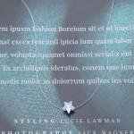 Aneneiceera Vintage Crystal Star Pendant Necklace Silver Rhinestone Star Choker Necklace Transparent Invisible Chain Necklace Cz Fishing Line Necklace Chain Jewelry for Women (Crystal star)