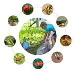 Kids Telescopic Butterfly Fishing Nets Perfect Outdoor Tools Colorful for Catching Insects Bugs Fish Ladybird Caterpillar Nets Extendable 34" Inch and Anti Slip Grip