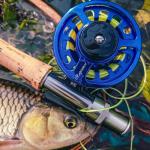 Raprance Fly Fishing Reel,CNC-Machined Aluminum Alloy Fly Reel Large Arbor Fly Reel, 3/4, 5/6, 7/8 wt Blue(5/6wt)