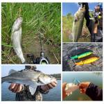 RTGSE 10Pcs Whopper Fishing Lure for Bass Popper Top Water Fishing Lures with Floating Rotating Tail Barb Treble Hooks in Saltwater Freshwater Plopping Lures Kit