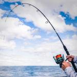 KastKing Kong Fishing Rod, Spinning Rod 2 pc 7'6" MH