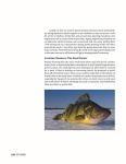 Ultimate Guide to Ice Fishing Techniques and Gear
