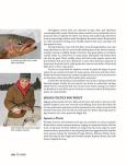 Ultimate Guide to Ice Fishing Techniques and Gear