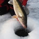 KastKing Zephyr Size 500 Ice Fishing Reel
