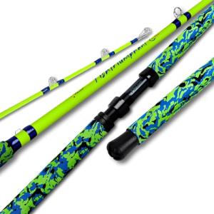 Fiblink 2-Piece Medium Heavy Catfish Rod