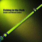 Fiblink 2-Piece Medium Heavy Catfish Rod