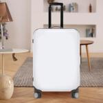 Rwigeboo Telescopic Luggage Handle Replacement 24.2