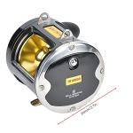 Dilwe Heavy Duty Saltwater Jigging Fishing Reel