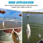 Disc Sinkers for Saltwater and Catfishing