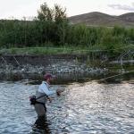 Redington Form Game Fly Rod, Practice Fly Fishing Rod for Beginners, 4'2" w/Line - Lava, One Size (5-8012027)