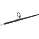 Berkley Fusion Spinning Reel and 7' Fishing Rod Combo, 2 Ball Bearings with Lightweight Graphite Reel Body, 2-Piece Rod