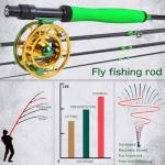 Sougayilang Fly Fishing Rod, Lightweight Ultra-Portable 4 Pieces 5/6wt Graphite 9' Fly Rod for Complete Starter with SuperPolymer Handle- Green