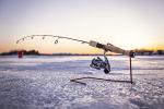 Fenwick HMG Ice Fishing Spinning Rod , Black, Cork , 27" - Medium - 1pc