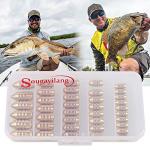 Sougayilang Fishing Sinkers Set with Brass Sinker Weights Jig Hooks Fishing Swivel Ring Connector Plastic Box for Freshwater Saltwater Bass Fishing
