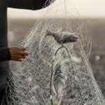 Goture American Fishing Cast Net Saltwater Freshwater, 3/8inch 1/4in Mesh Size Casting Net for Bait Fish Shrimp Trap,Strong Zinc Sinker, 3ft/4ft/5ft/6ft/8ft/10ft Radius Throw Cast Net with Needle