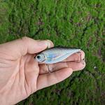 Dr.Fish 3 Pack Lipless Crankbait VIB Hard Bait Sinking Bass Lure Chrome Laser Painting 3D Eyes Rattle Balls Treble Hook Split Ring Tackle Box Freshwater Shad Perch Walleye Musky