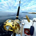 Trolling Reel 2-Speed Fishing Reel Offshore Big Game Deep Saltwater Trolling Fishing Reel for Tuna Sailfish Swordfish (80W-1740yd/200lbs)