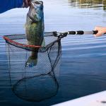 ZENFUN 2-Pack Telescopic Fishing Nets 51