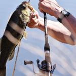 Cadence CR5 30 Ton Carbon Spinning Rod