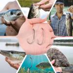 200 Pcs Baitholder Hooks for Saltwater & Freshwater