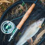 Kylebooker Fly Fishing Reel - Large Arbor Design