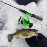 KastKing Zephyr 500 Spinning Reel - Green