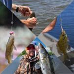 150 Round and Removable Fishing Weights in 5 Sizes