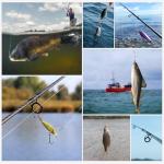 DWLIFE 8LB-100LB Braided Fishing Line, Zero Stretch