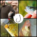 25 High Carbon Catfish Circle Hooks Size 1#