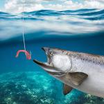 Dr.Fish 100 Extra Long Hooks for Fishing Size 2