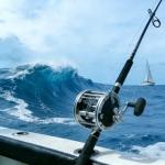 SAMOLLA Deep Sea Fishing Reel for Tuna & More