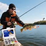 SANWEAL Fishing Weights Kit - Assorted Sinkers Lead Jigs Swivels - Bullet Pyramid Split Shot Egg Weights - Freshwater Saltwater Bass Catfish Walleye Tackle Box(Pro Kit 88 Pcs/15 Types)