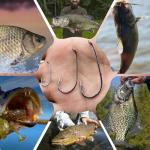 Natufish Baitholder Fishing Hooks 50/100Pcs Bait Holder Hooks Offset/Double Barbed/Long Shank/Down Eye for Soft Live Baits Saltwater(Size 12#)