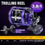 Sougayilang Conventional Fishing Reel,Smooth Powerful Inshore Surf Trolling Reel, Baitcasting Reel for Catfish, Musky, Bass, Pike