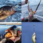 250 Fishing Weights Tackle Box