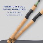 Shakespeare Wild 7' Light Power Spinning Rod