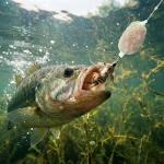 Teyva 4 Roll Water Soluble PVA Mesh Net