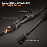 KastKing Zephyr Finesse Fishing Rods – BFS Baitcasting & Spinning Rods, IM6 Graphite, Extra Twin-Tip, 2pc & 3pc Travel Design, Ultra-Light Lure Casting, Stainless Steel Guides with Zirconium Rings