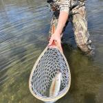 Fly Fishing Landing Net Soft Rubber Mesh Trout Fishing Net, Rubber Coated Landing Nets for Easy Catch and Release