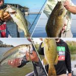 Fishfun 12Pcs Tungsten Drop Shot Weights Sinkers for Bass Fishing, Tungsten Dropshot Fishing Weights, Black Tie On Skinny, 1/8 oz