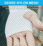 Foldable Fishing Net for Minnows and Shrimp