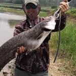 Dr.Fish 6 Pack Catfishing Dragging Weights 3oz