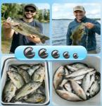 200/350 Pcs Premium Split Shot Fishing Weights Sinkers, Removable Leakproof Fly Fishing Split Shot for Freshwater & Saltwater， Bass Trout Circular Accessories - 5/6 Sizes(Round 200)